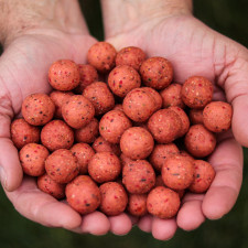 amorcage-classic-ginger-pepper-carp-elementis