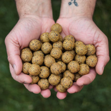 amorcage-classic-nutsy-carp-elementis