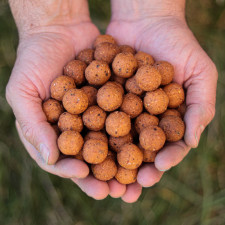 amorcage-classic-ginger-pepper