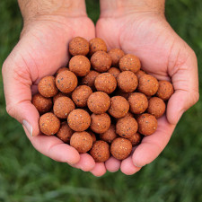 bouillette-classic-red-liver