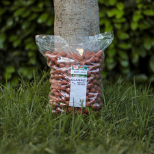 squidy-peach-classic-carp-elementis