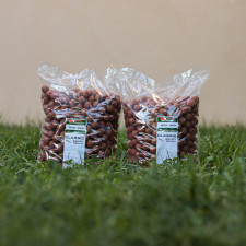 squidy-peach-classic-carp-elementis