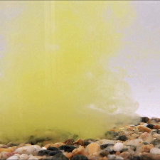 liquide-stick-mix-pva-nutsy-attractant-carp-elementis