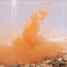 liquide-stick-mix-pva-red-liver-attractant-carp-elementis