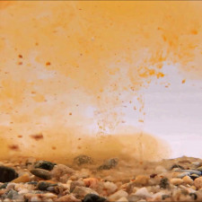 liquide-stick-mix-pva-squidy-peach-attractant-carp-elementis