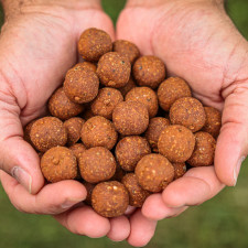 red-liver-bouillettes-dense-20mm-carp-elementis.jpeg