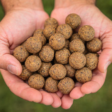 nutsy-bouillettes-dense-20mm-carp-elementis.jpeg