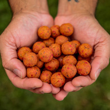 crazy-fruits-bouillettes-dense-20mm-carp-elementis.jpeg