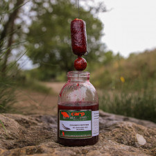 ginger-pepper-carp-dip-3d-200ml-booster-carp-elementis