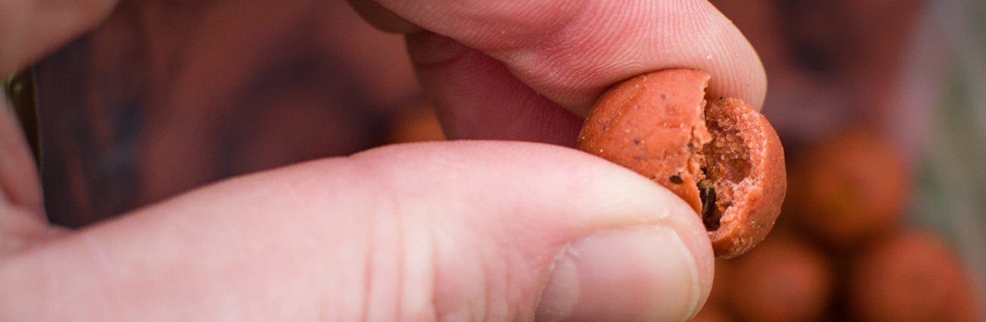 PACKS DÉCOUVERTE - CARP ELEMENTIS