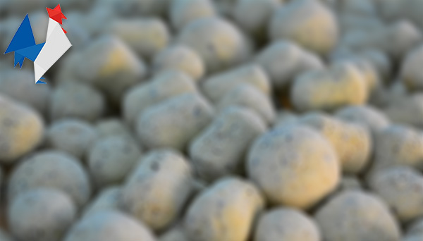 Fabrication Artisanale Française